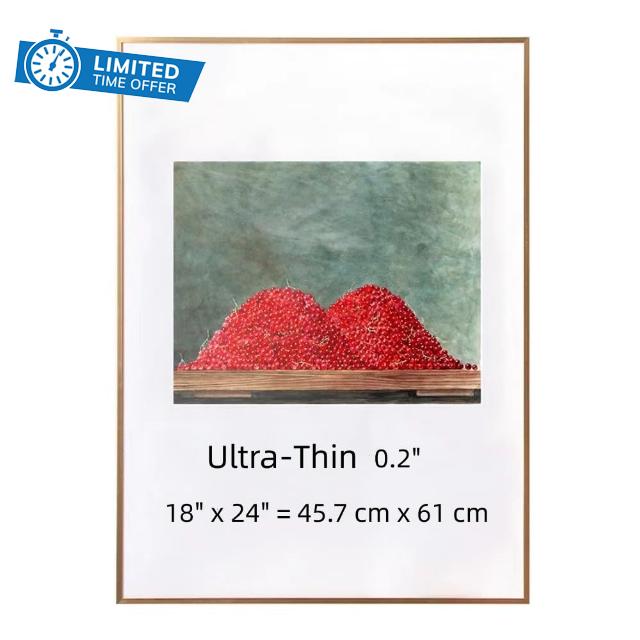 ZWYAN 18x24 Picture Frame Ultra-Thin Aluminum Alloy Photo Poster Frame Display Pictures 16x20 with Mat or 18x24 Without Mat