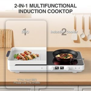 GTKZW Portable Countertop Burner 110v 60Hz