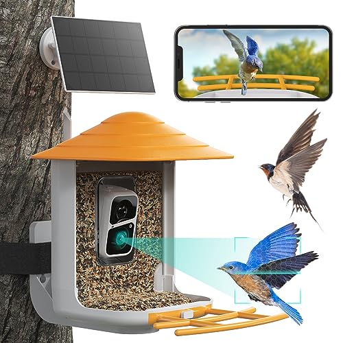 WUIPET Bird Feeder with Camera Wireless Outdoor