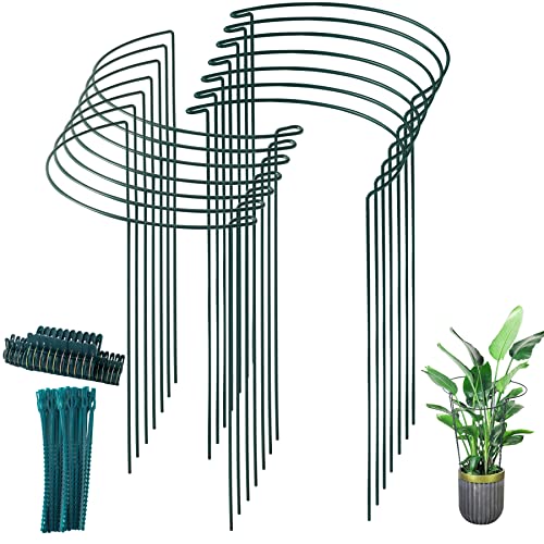 10" Wide x 24" High Metal Peony Cages and Supports Rings