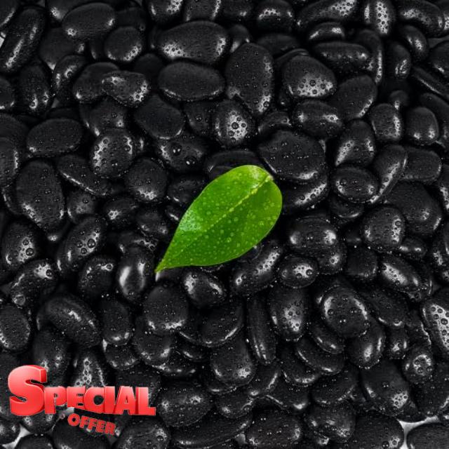 10 LB Black Rock for Landscaping