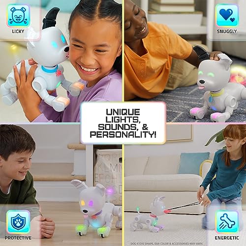 Robotic Dog