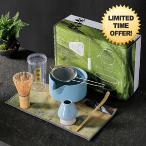 Japanese Matcha Tea Set of 7 Ceremony Matcha Kit with Matcha Bowl(Chawan) with Pouring Spout