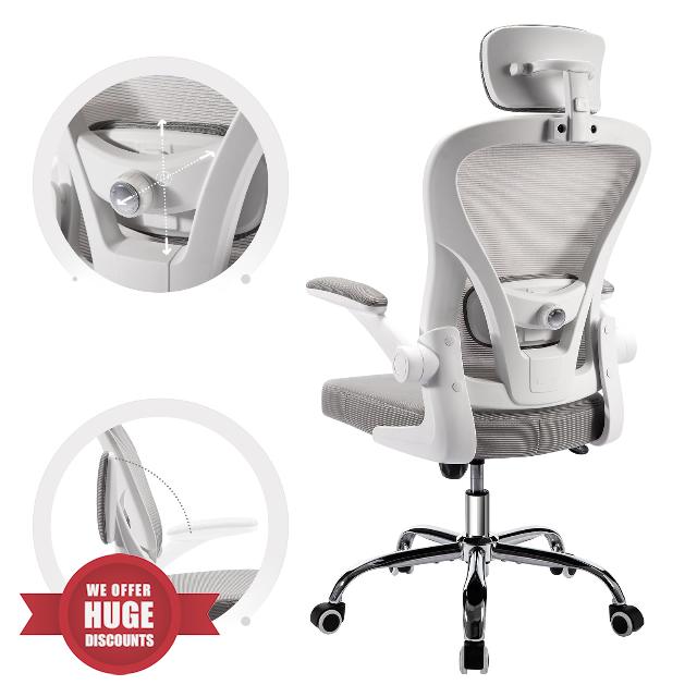 ACCHAR Ergonomic Office Desk Chair