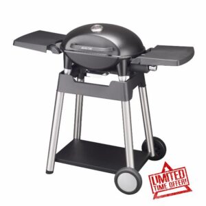 VANSTON Portable Stand-up Propane Grill