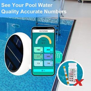 Saltwater Pool