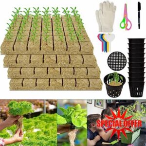 1.5" Rockwool Grow Cubes