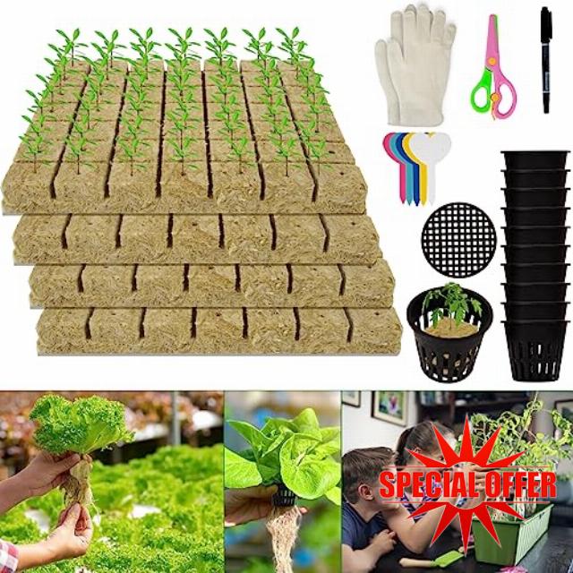 1.5" Rockwool Grow Cubes