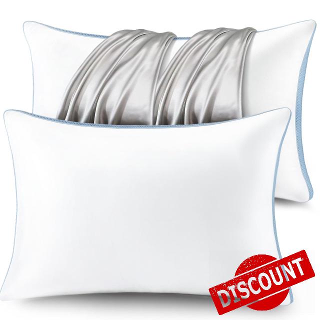 Pillows Queen Size Set of 2 with Pillowcase