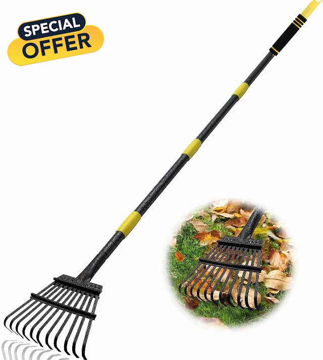 Rake for Leaves