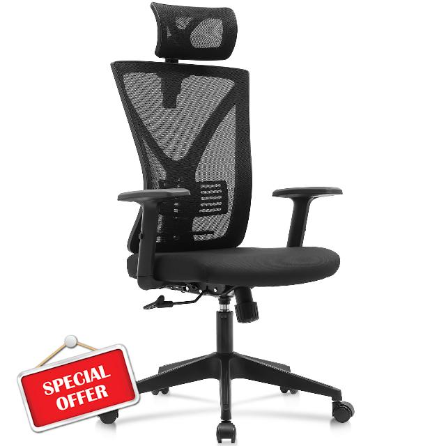 Ergonomic Mesh Office Chair