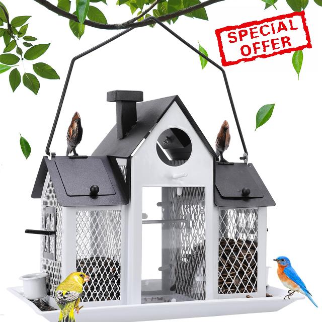 Solar Bird Feeders for Ourside