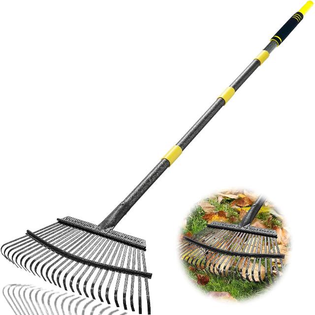 Rake for Leaves