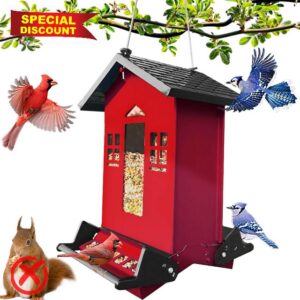 Squirrel Proof Bird Feeder