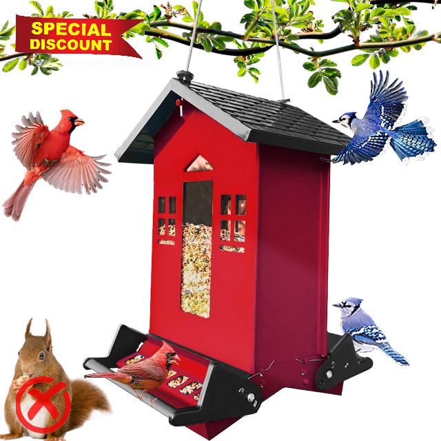 Squirrel Proof Bird Feeder