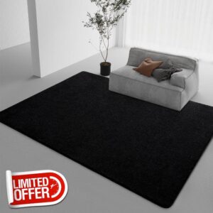 DweIke Modern Area Rugs for Bedroom Living Room
