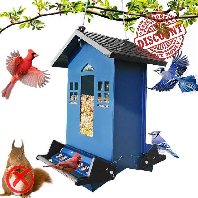 Squirrel Proof Bird Feeder for Outside