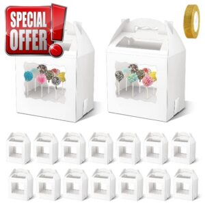 16 PCS Portable Cake Pop Packaging Box