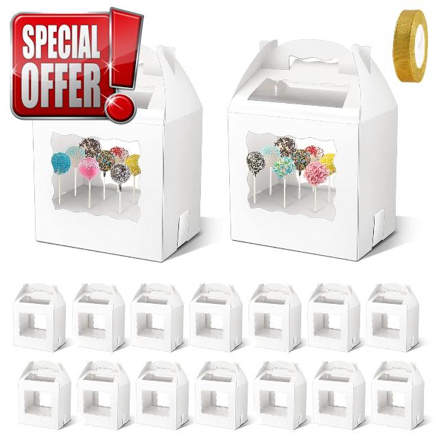 16 PCS Portable Cake Pop Packaging Box