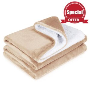 Electric Blanket with Hand Controller 4 Heating Settings