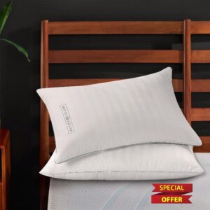 Hotel Grand Feather 100% Cotton Size Set of 2 Pack Home Decoration Bed Pillows for Back/Side Sleeper