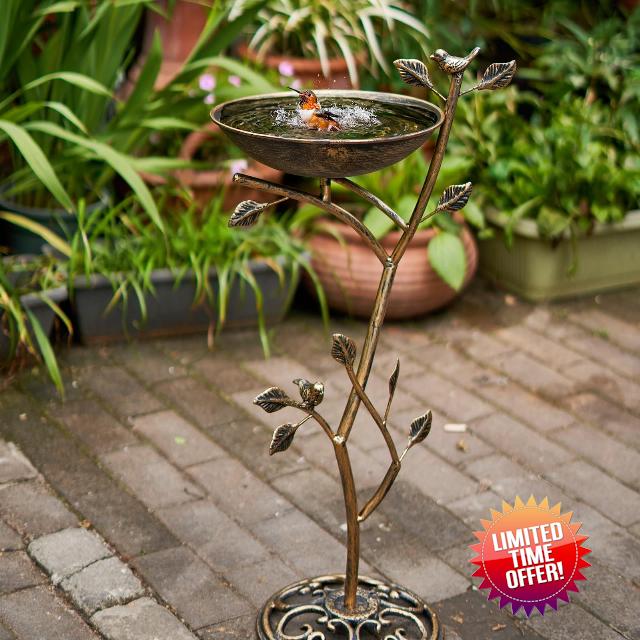 HOUYANG Diam 11.4" W x 31" H Cast Iron Pedestal Bird Bath