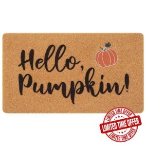 UINI Fall Door Mat