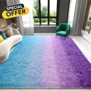 Zedrew Colorful Area Rugs Fluffy Carpets