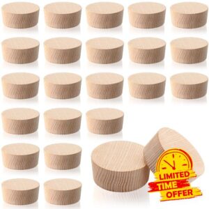 Barydat 24 Pcs 2 Inches Bourbon Wine Barrel Cask Keg Bung Plug Wooden Bung for Wine Cork Stopper for Beer Bottle Wine Whiskey Barrel Crafts Home Brewers Distillers