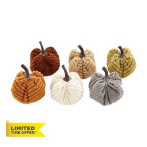 Mud Pie Corduroy Mini Pumpkin Vase Filler Set