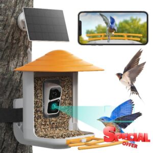 Bird Feeder with Camera