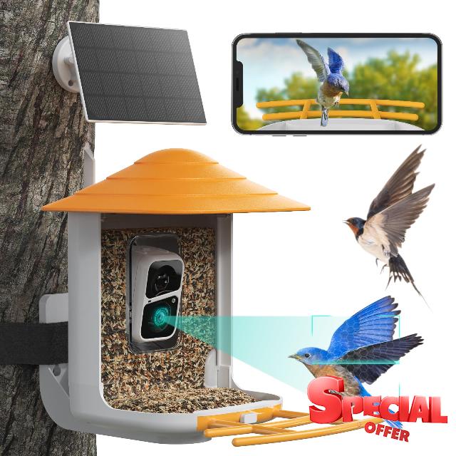 Bird Feeder with Camera