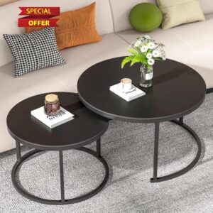 Black Nesting Coffee Tables Set of 2