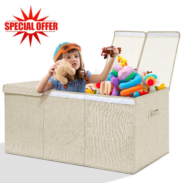 Hoyula Toy Storage