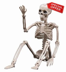 Halloween Skeletons