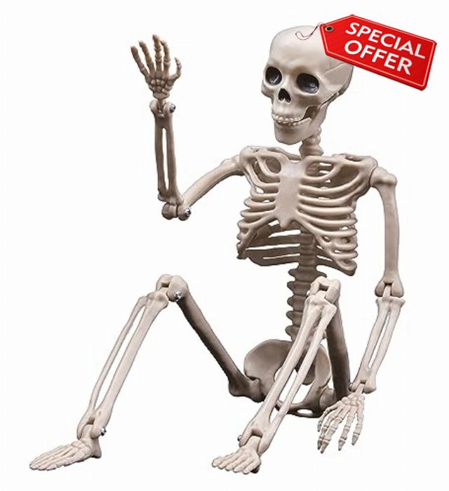 Halloween Skeletons