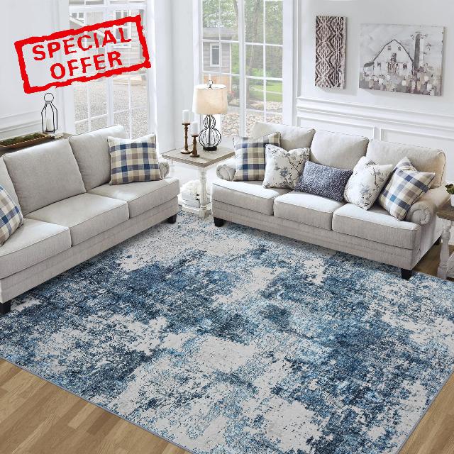 Area Rug for Living Room Bedroom
