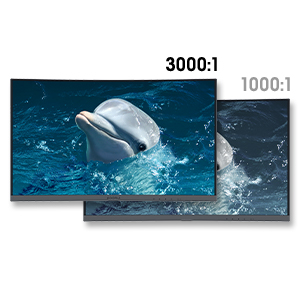 computer monitor