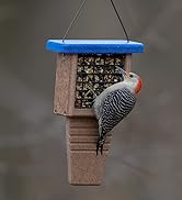Kingsyard Double Suet Bird Feeder with Weatherproof Roof & Perch, All Metal, Suet Cakes Cage Bird...
