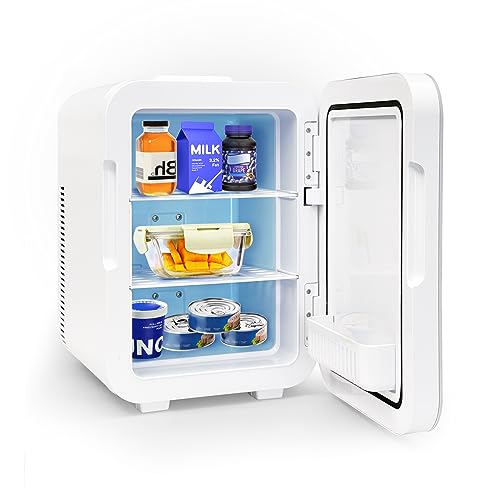 10 Can AC+12V DC Power Cooler & Warmer
