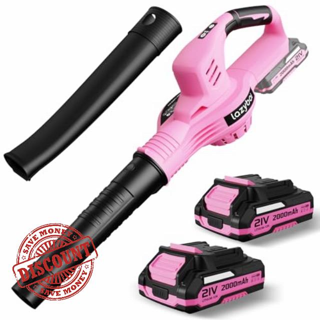 Leaf Blower Cordless with 2 Batteries and Charger