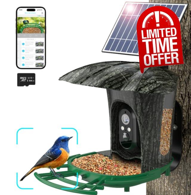 lollyes Smart Bird Feeder Camera