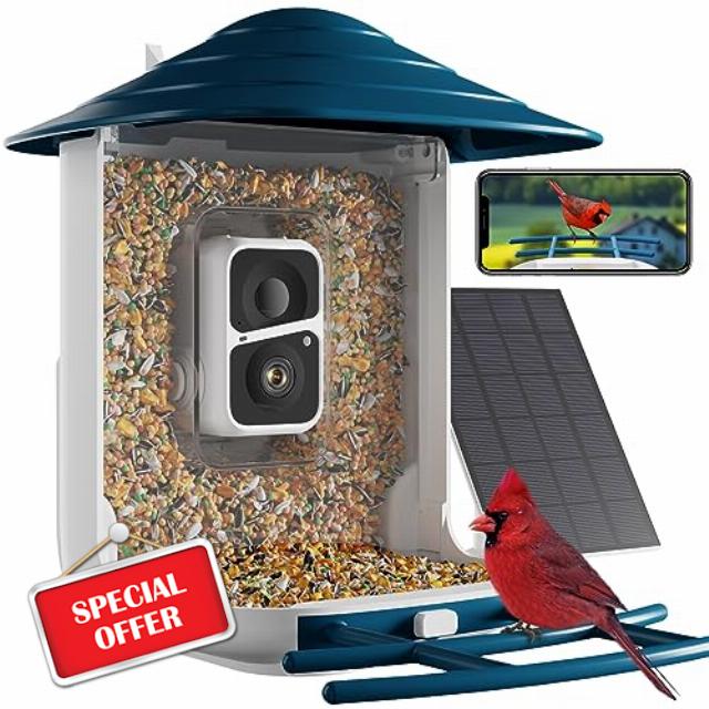 Dzees Smart Bird Feeder with Camera