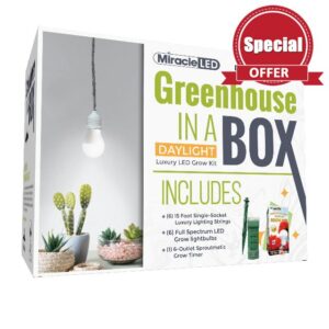 Miracle LED Greenhouse in a Box Designer Line Indoor Grow Kit - Includes Absolute Daylight Full Spectrum 100W Replacement Grow Bulb