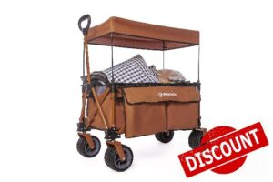 Folding Wagon with Removable Canopy