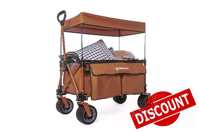 Folding Wagon with Removable Canopy