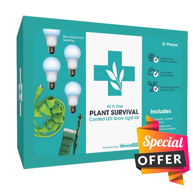 Miracle LED Plant Survival Indoor Grow Light Kit - 4 Multi-Plant Blue Spectrum 150W Replacement Grow Light Bulbs & 1 4-Socket Corded Fixture with SproutMatic Timer (4-Pack)