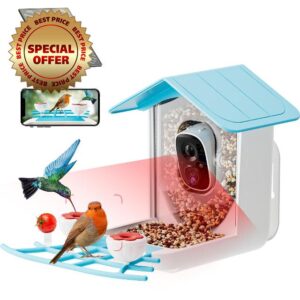 Bird Feeder with Camera