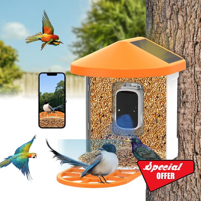 Bird Feeder with Camera Solar Powered