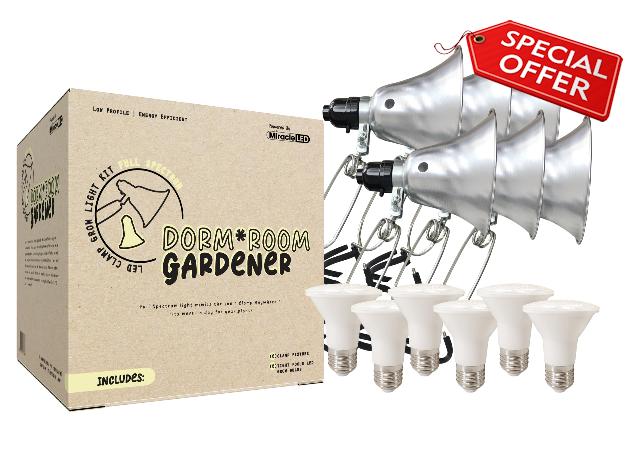 Miracle LED Dorm Room Plant LED Grow Light Kit - Full Spectrum Daylight Single Plant Growing Bulb 6W Replacing 75W Incandescent Grow Light and Clamp Fixture (6-Pack)